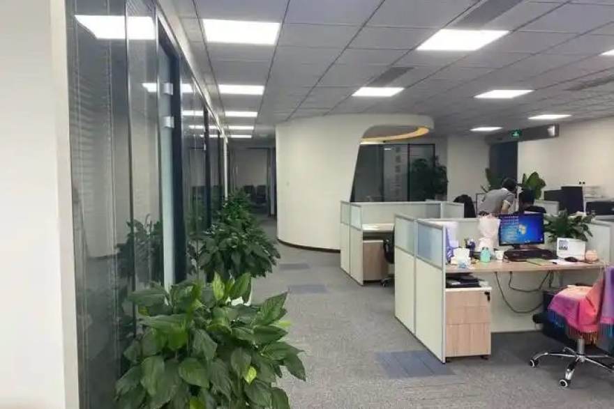 低调看球官网高清赛事直播观看场景